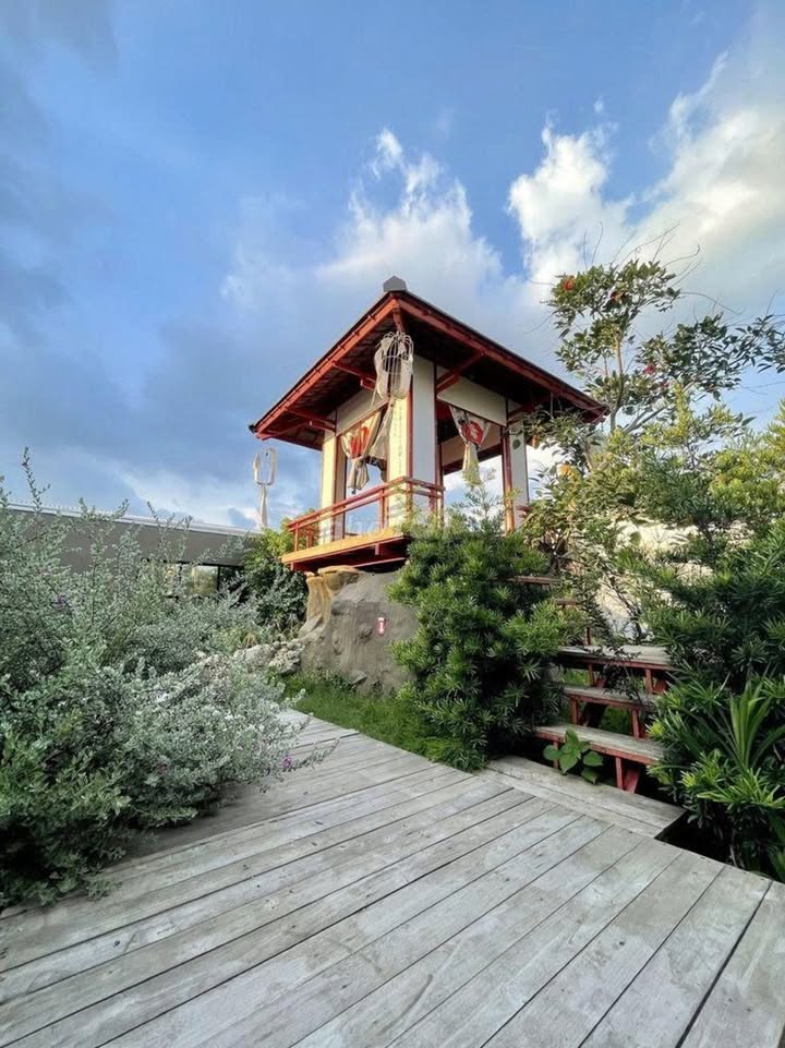 Cho thuê mặt bằng sân vườn Nguyễn Văn Dung, Gò Vấp 734m² - Không gian thư giãn lý tưởng!