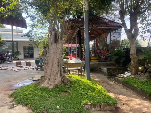 Cho thuê nhà xưởng 4.500m² tại Trảng Dài, Biên Hòa - Giá 250 triệu/tháng