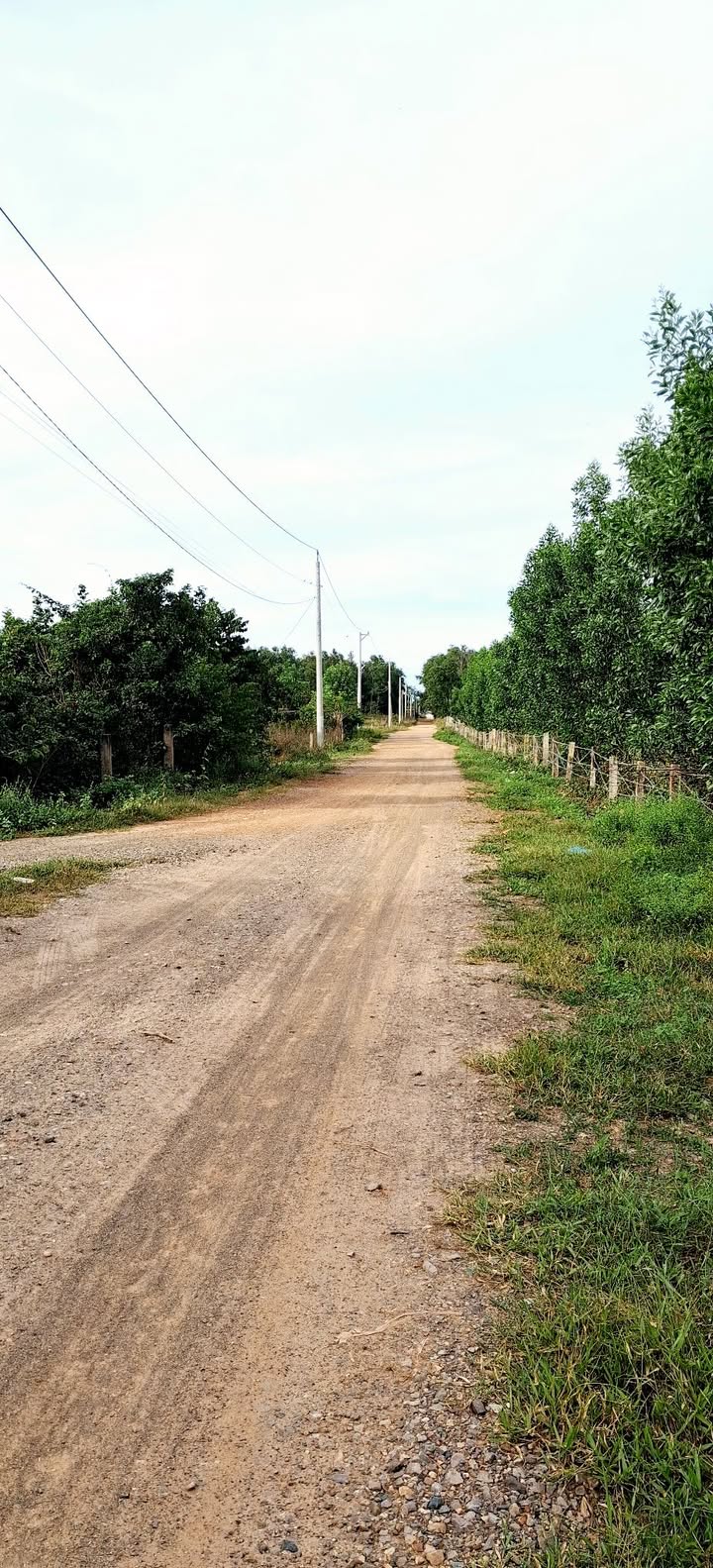 Đất Farm 34ha Hàm Đức giá 1,4 tỷ/ha - Cơ hội đầu tư hấp dẫn!