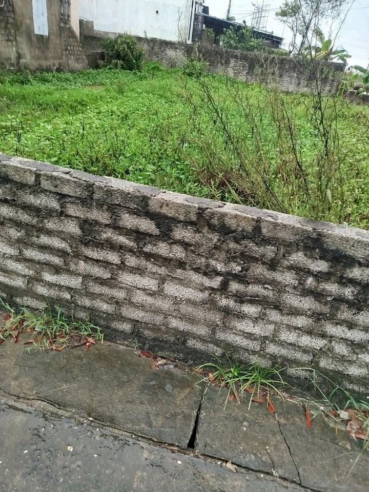 Đất 3 mặt tiền xã Quảng Châu, Nghệ An 178m² giá 1.8 tỷ - Cơ hội đầu tư hiếm có!