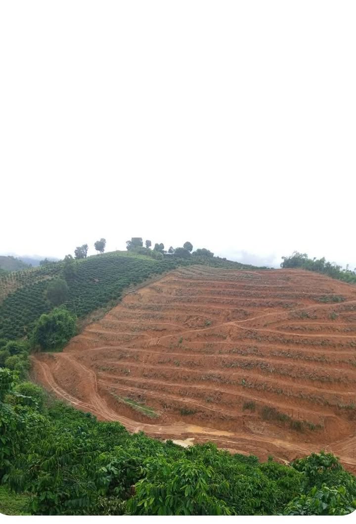 Đất thổ cư xã Rô Men, huyện Đam Rông 10.000m² giá 4.5 tỷ - Cơ hội đầu tư tuyệt vời!