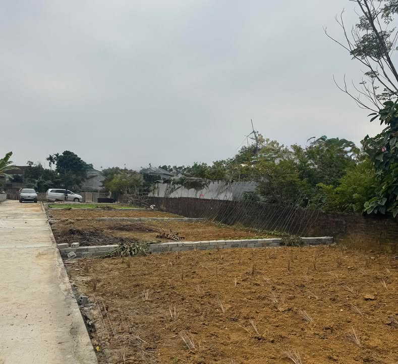 Đất 100m² Phú Cát, Quốc Oai chỉ 2 tỷ - Sổ đỏ chính chủ, đường ô tô vào tận nơi!