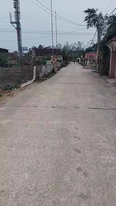 Đất nền Kim Liên, Nam Đàn 99m² - Mặt tiền nở hậu đẹp, giá thỏa thuận hấp dẫn!