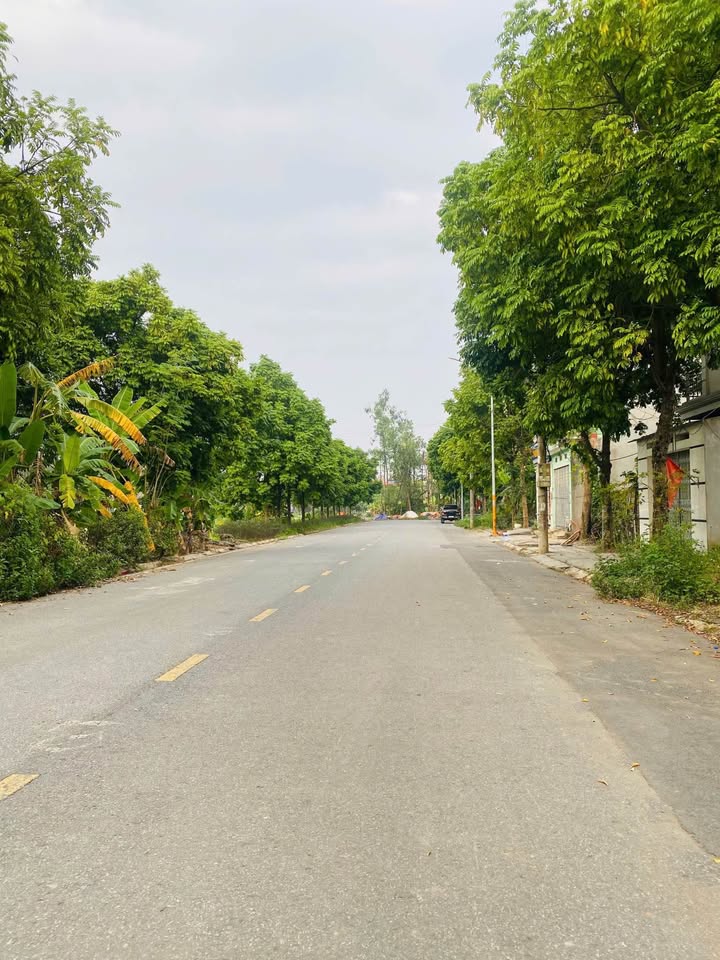 Đất nền Trần Doãn Hựu, Vĩnh Yên 100m² giá 2.7 tỷ - Vị trí đẹp, đầu tư sinh lời!