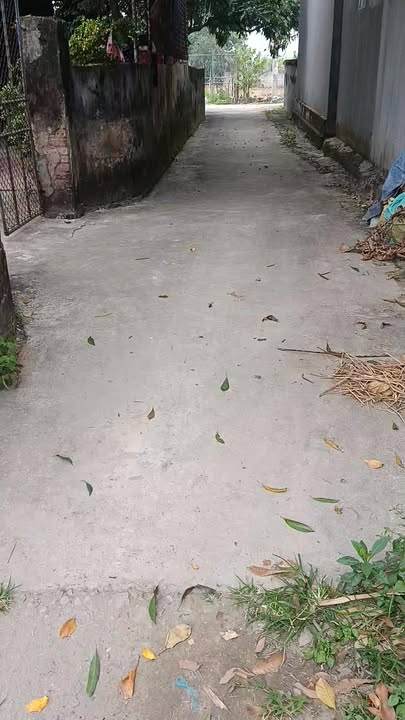 Đất nền thôn Gia Lạp, xã Văn Cẩm, Hưng Hà - Giá chỉ 600 triệu - Tiềm năng tăng giá tốt!