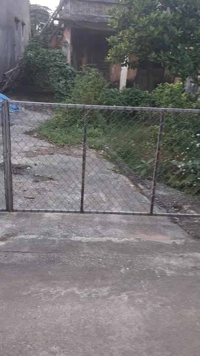 Đất nền 300m² tại Bá Khê, Văn Giang - Cơ hội đầu tư tuyệt vời!