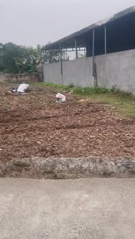 Đất thổ cư Yên Trung, Khoái Châu 111.6m² giá 2 tỷ - Cơ hội đầu tư hấp dẫn!