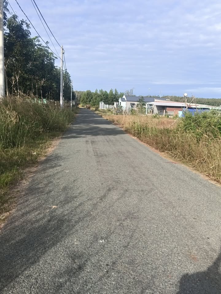 Đất nền Tân Phước Đồng Phú 225m² giá 400 triệu - Cơ hội đầu tư hấp dẫn!