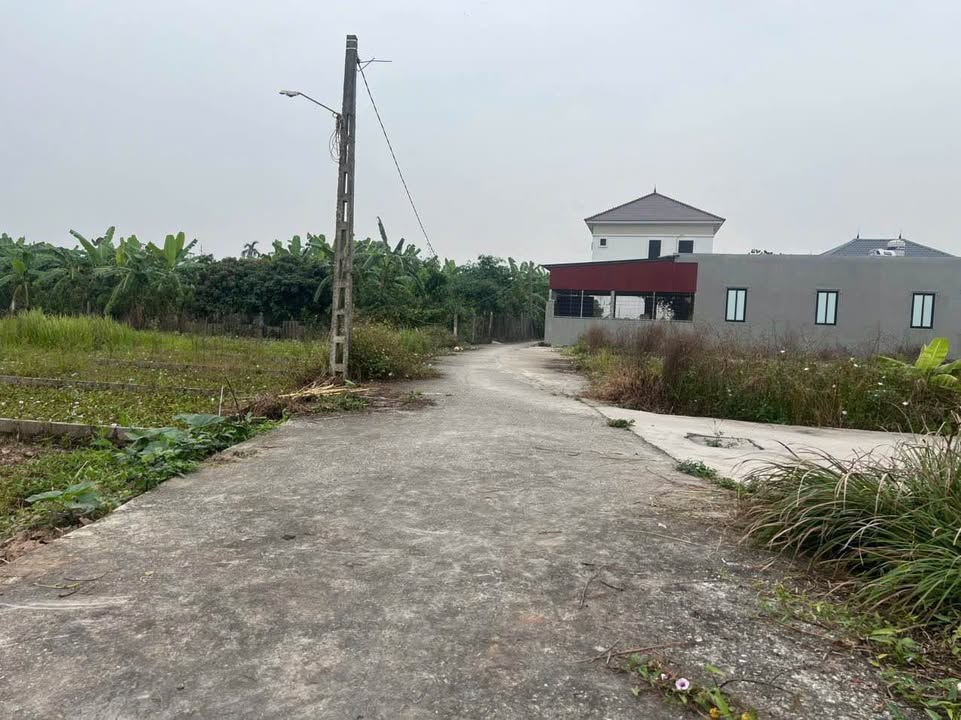 Đất Bát Trang, An Lão, Hải Phòng 62m² giá 500 triệu - Đầu tư sinh lời ngay!