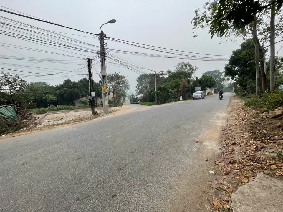 Đất nền Thiện Kế, Bình Xuyên 89m² giá 1.8 tỷ - Vị trí kinh doanh sầm uất!