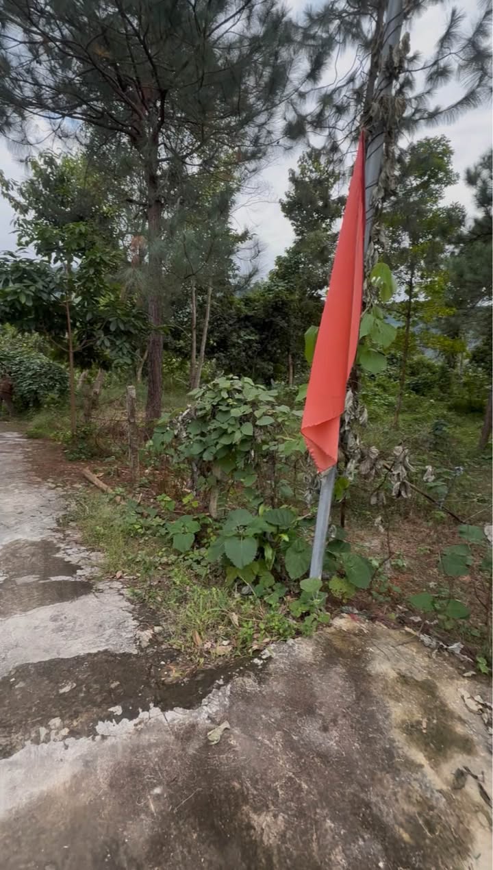 Đất nghỉ dưỡng Ngọc Thanh Phúc Yên 1ha giá chỉ 3 triệu/m² - Cơ hội đầu tư tuyệt vời!