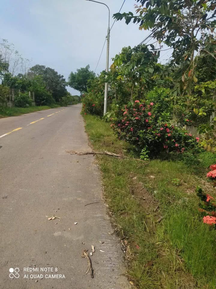 Đất mặt tiền nhựa 10.000m² tại xã Phú Lý, Vĩnh Cửu - Đầu tư sinh lời ngay!