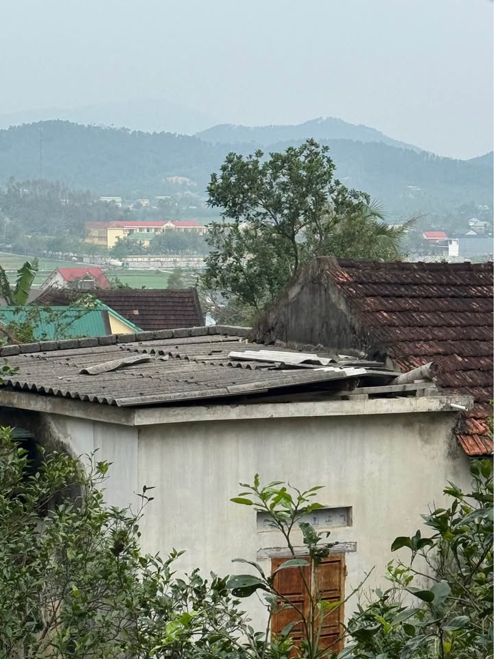 Đất nền Nghi Lâm Nghi Lộc 1313m² giá chỉ 1.97 tỷ - Cơ hội đầu tư tuyệt vời!