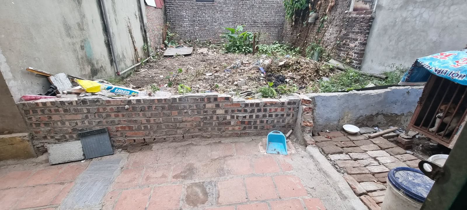 Đất nền Phù Liễn, Bắc Hồng 40m² giá chỉ 3 tỷ - Đầu tư sinh lời ngay!