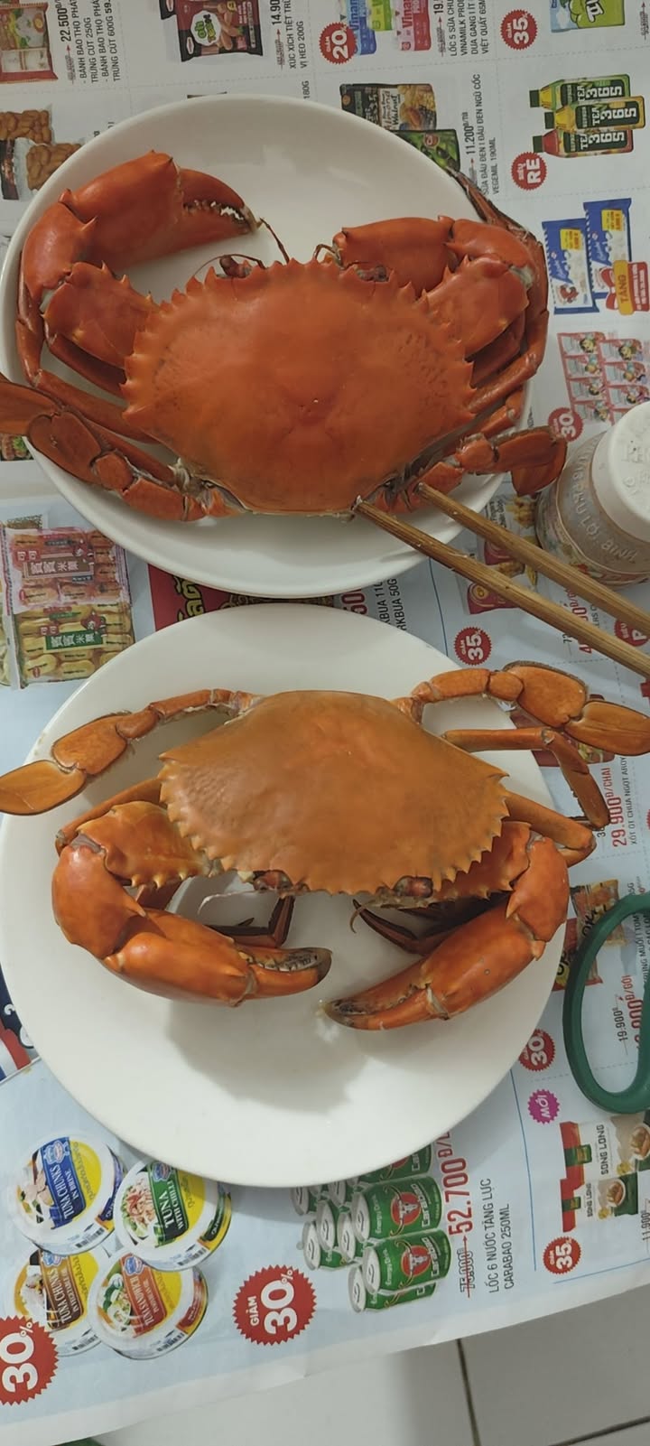 Đất nền Thới Tam Thôn 84m² giá 3.39 tỷ - Vị trí cực đẹp gần trường học!