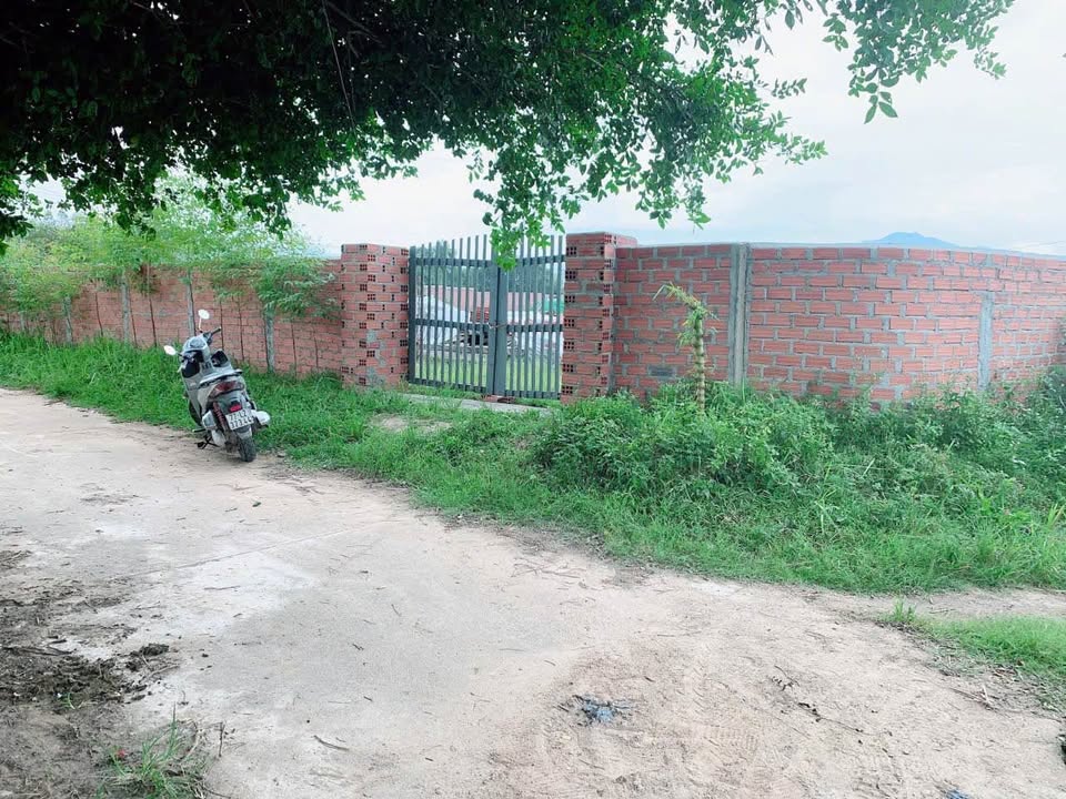 Đất nền Canh Vinh 2000m² giá 2 tỷ - Nở hậu, tiện ích đầy đủ!