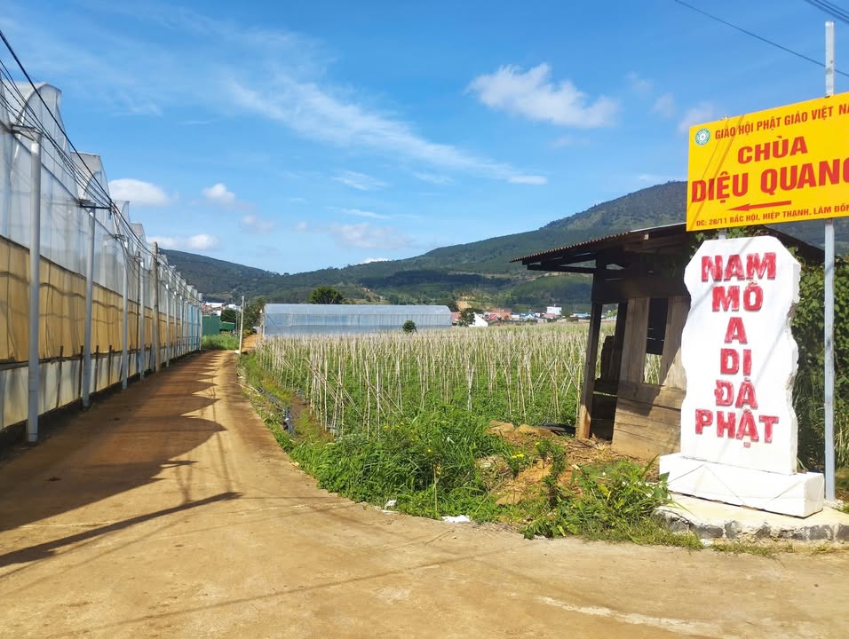 Đất nền 3 xào 9 tại thôn Bắc Hội, Lâm Đồng - Tiềm năng đầu tư tuyệt vời chỉ 5.85 tỷ!