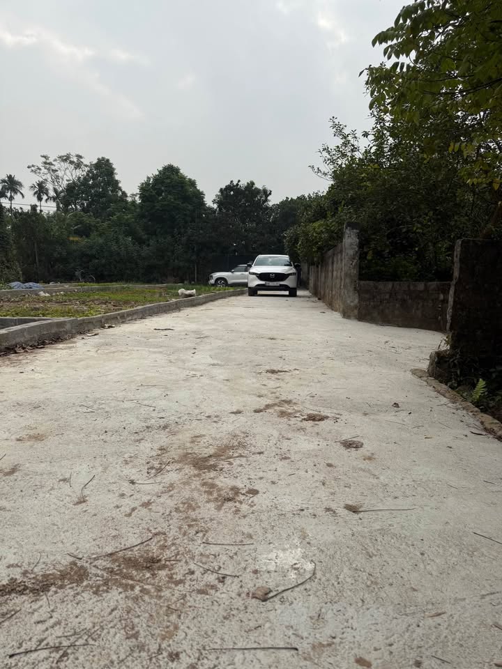 Đất nền Phú Yên, Phú Xuyên 114m² giá 3 tỷ - Khu vực kinh doanh sầm uất!