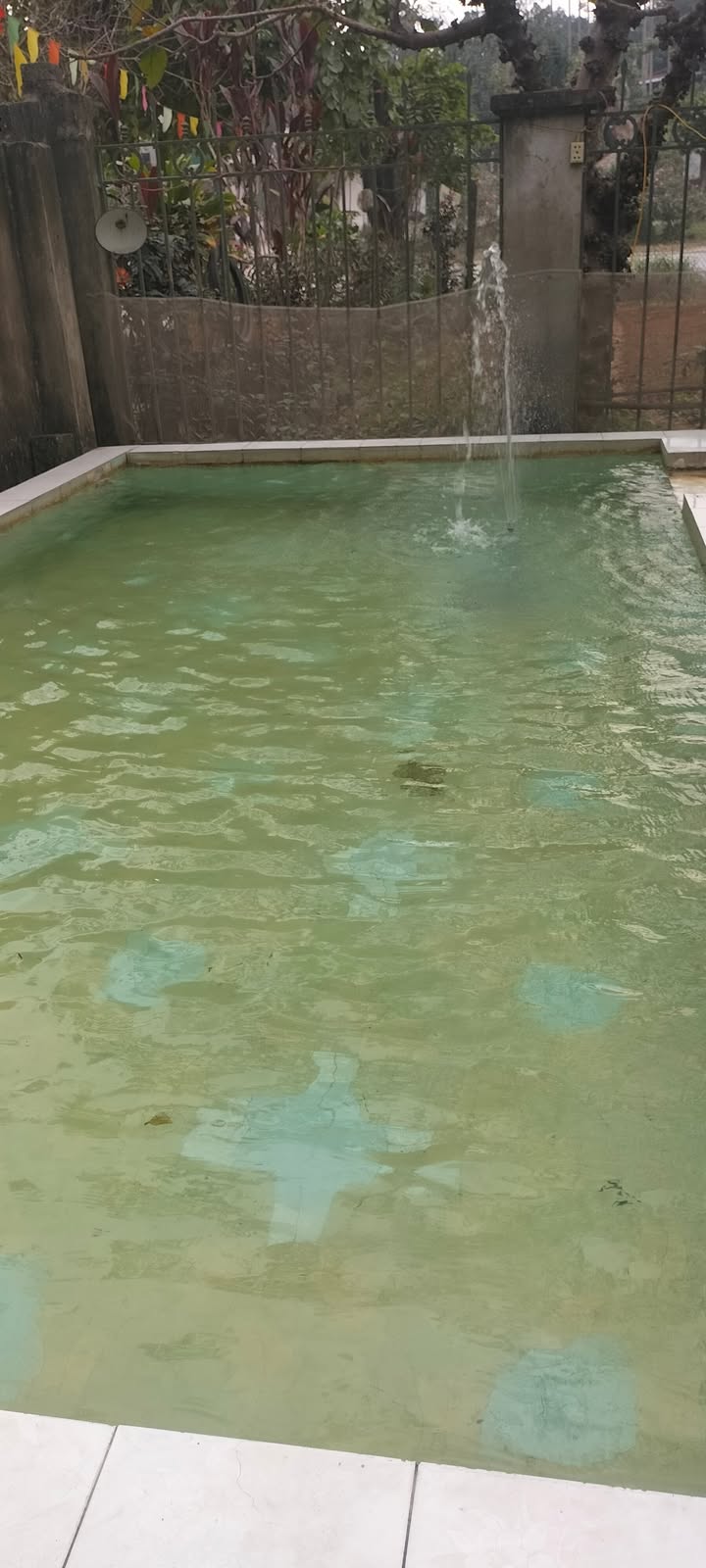 Đất nền đường HCM Lương Sơn 1000m² - Cơ hội đầu tư sinh lời!