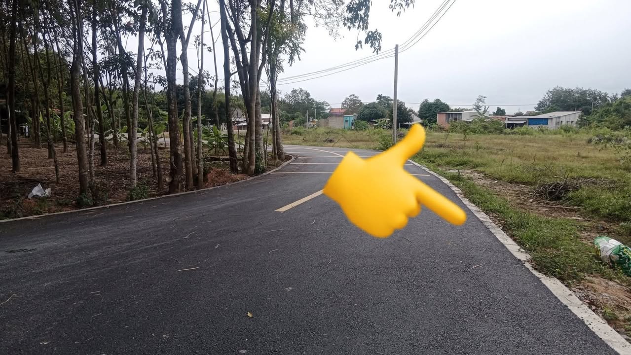 Đất nền Chánh Phú Hòa 130m² giá 1.3 tỷ - Đầu tư thông minh gần khu công nghiệp!