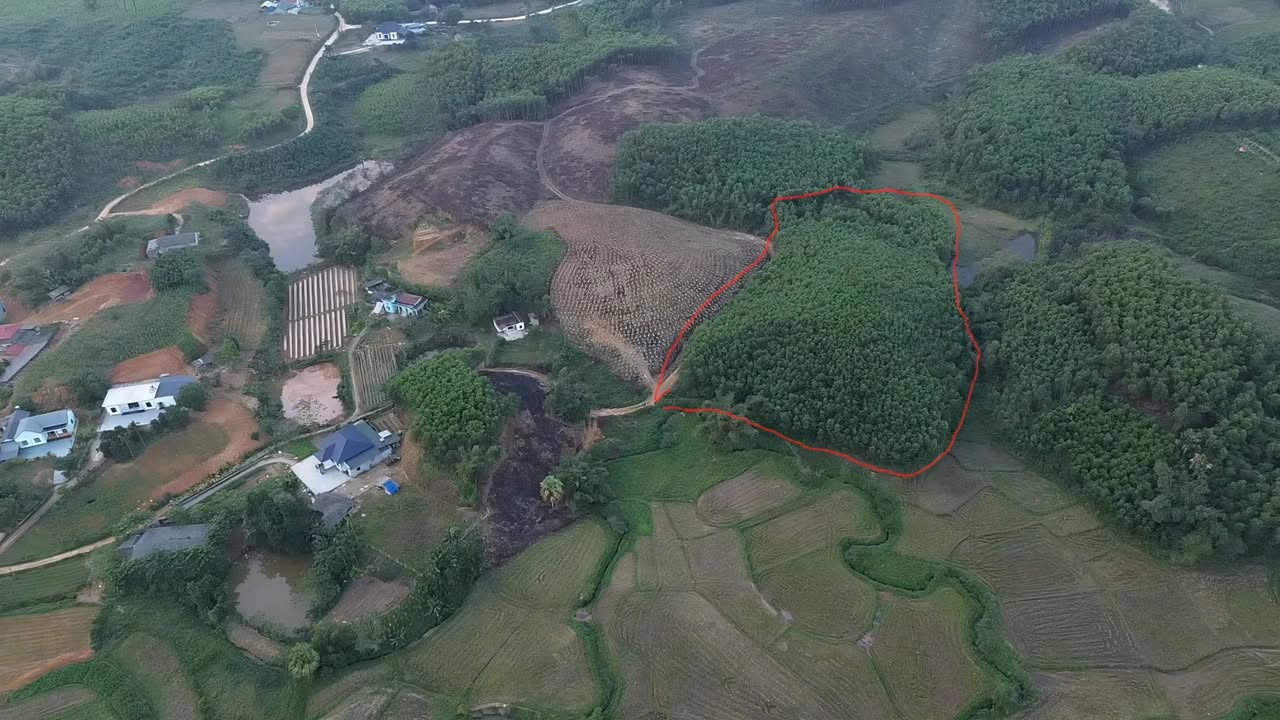 Đất vườn 10500m² tại Mỹ Lương, Yên Lập - View nước cực đẹp, ô tô vào tận nơi!