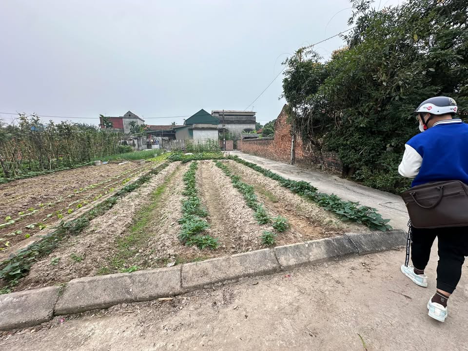 Đất lô góc Long Xuyên, Bình Giang 63m² - Gần KCN, giá thỏa thuận!