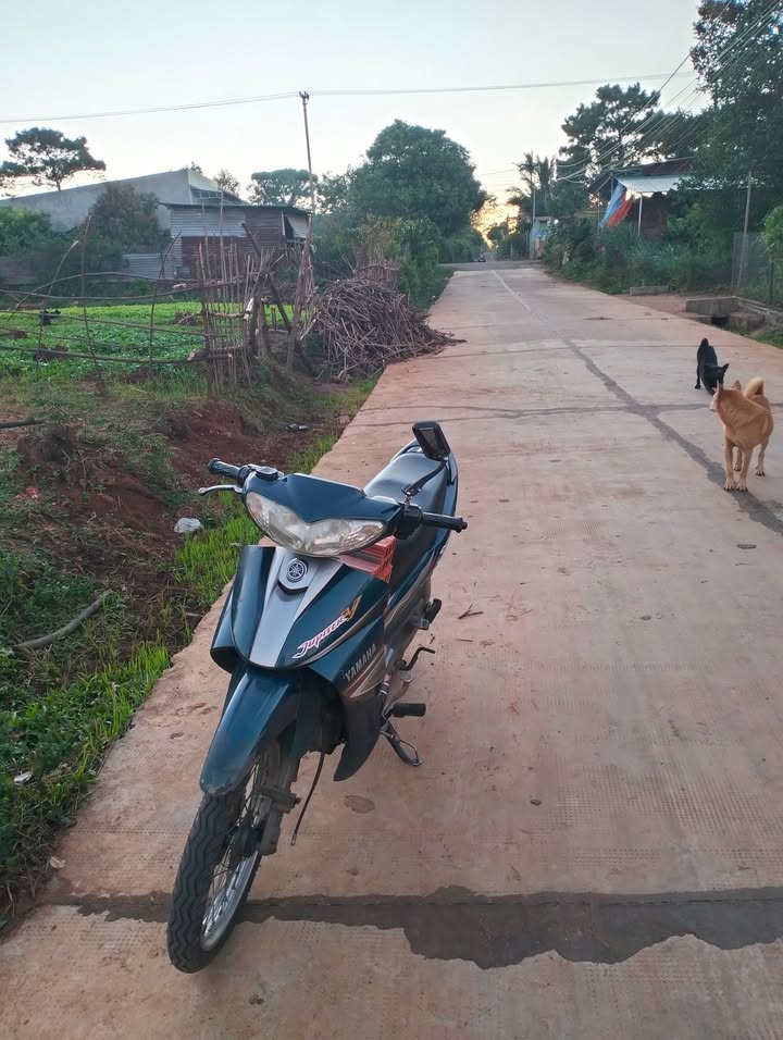 Đất mặt tiền đường Bùi Đình Túy, phường Pleiku, 300m² - Đầu tư sinh lời ngay!