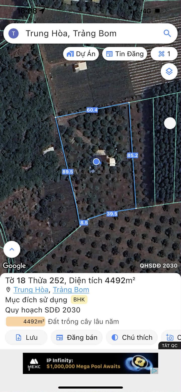 Nhà vườn Ấp An Bình, xã Hưng Thịnh, 4500m² - Sổ hồng riêng, giá 4.7 tỷ!