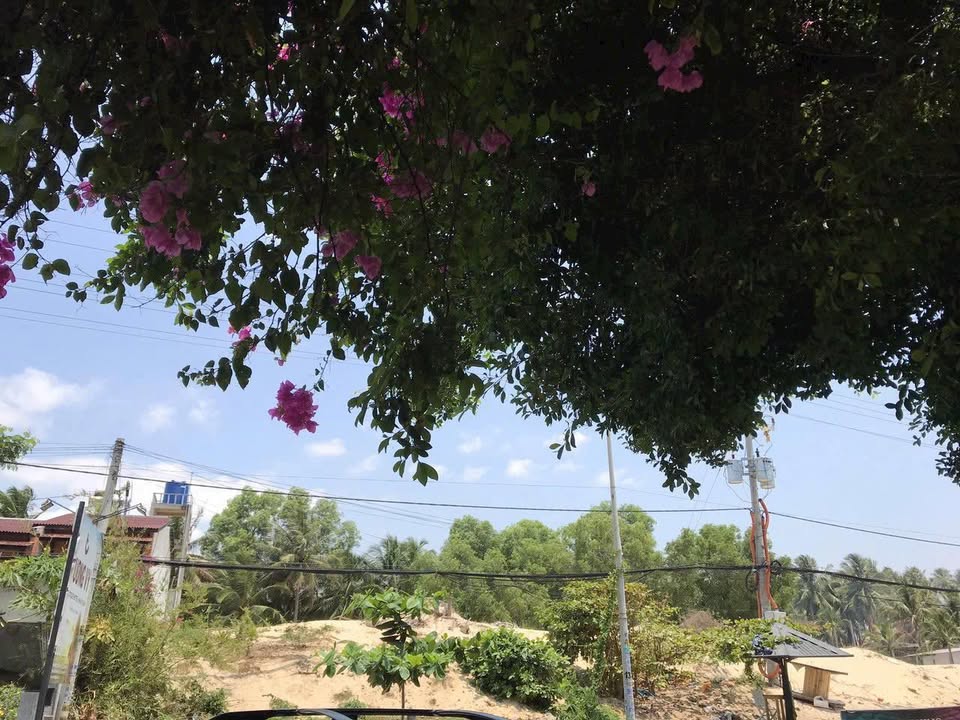 Đất mặt biển Nguyễn Đình Chiểu, 660m² giá 17.16 tỷ - Cơ hội đầu tư lý tưởng!