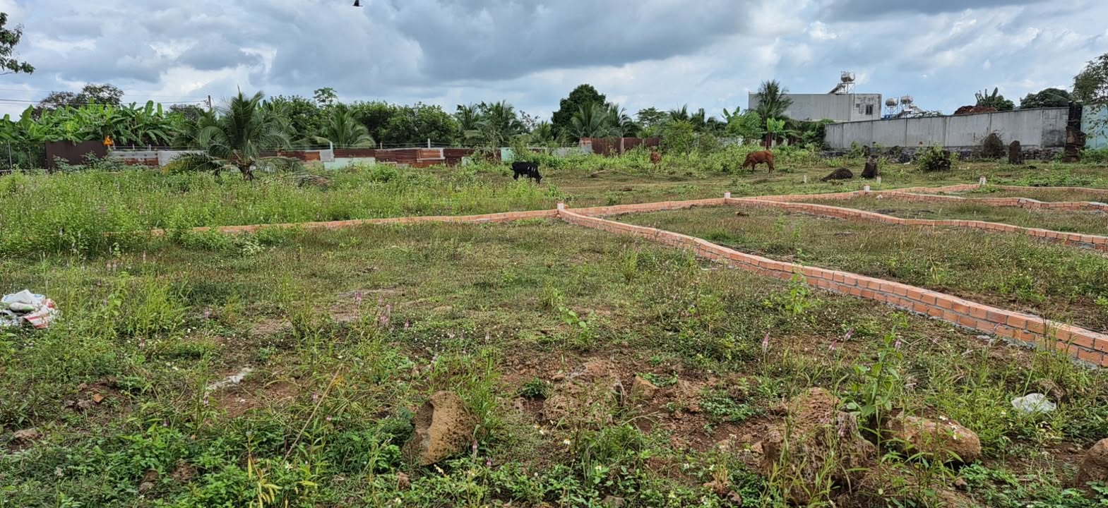 Đất Bàu Trâm - 170m² giá 750 triệu - Đầu tư sinh lời ngay!