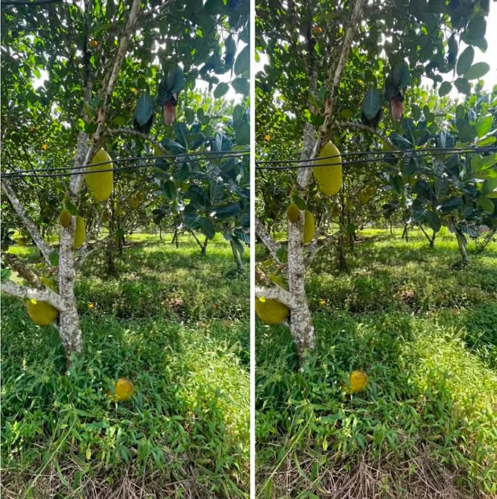 Đất thổ cư Bảo Quang Long Khánh 100m² giá 480 triệu - Chính chủ bán gấp!