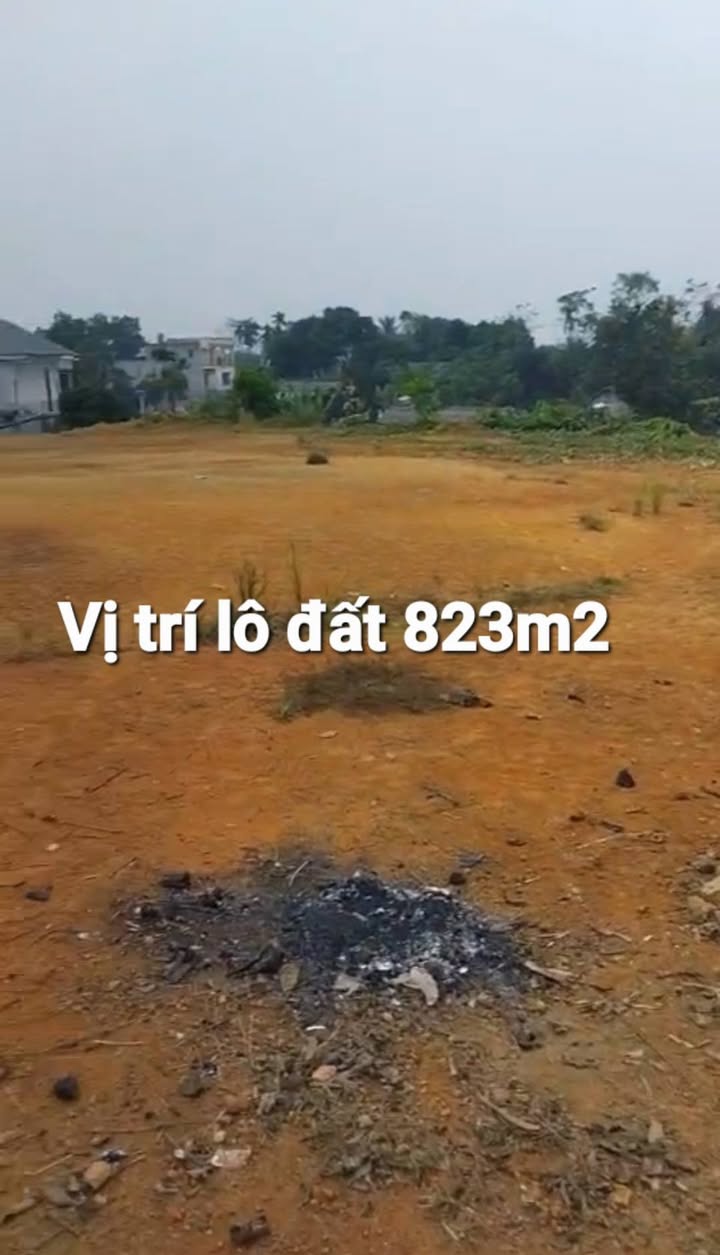 Đất chính chủ 823m² tại Yển Khê, Thanh Ba chỉ 800 triệu - Cơ hội đầu tư tuyệt vời!