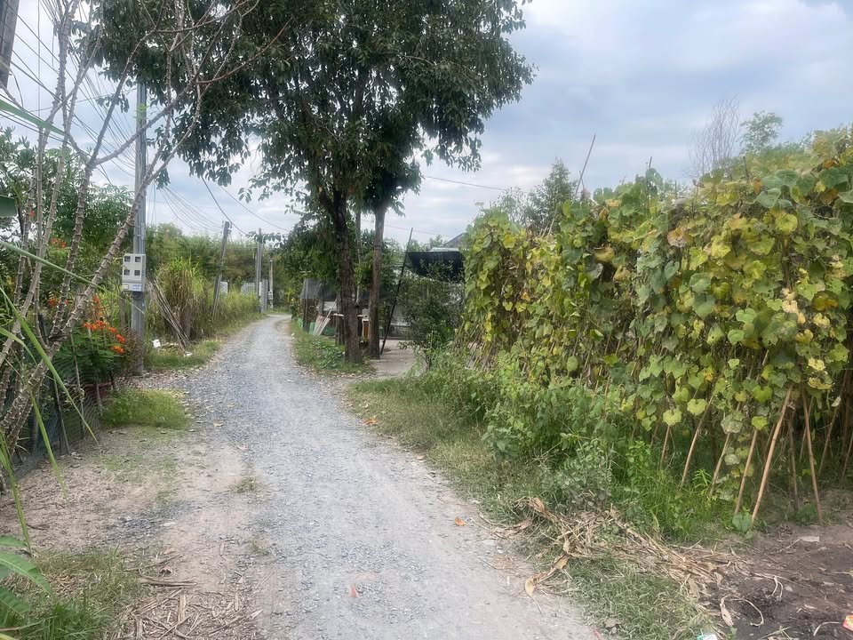 Đất thổ cư An Tịnh, Trảng Bàng, Tây Ninh 144m² giá 600 triệu - Cần bán gấp!