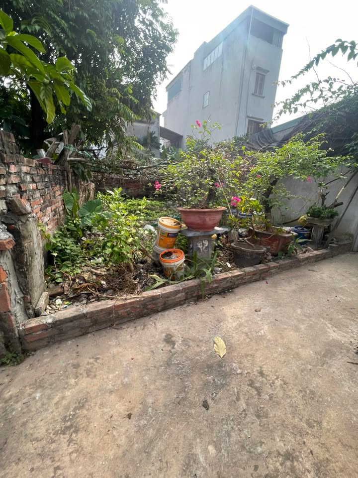 Đất Phúc Lợi Long Biên 52m² giá 5 tỷ - Bán gấp trong tuần!