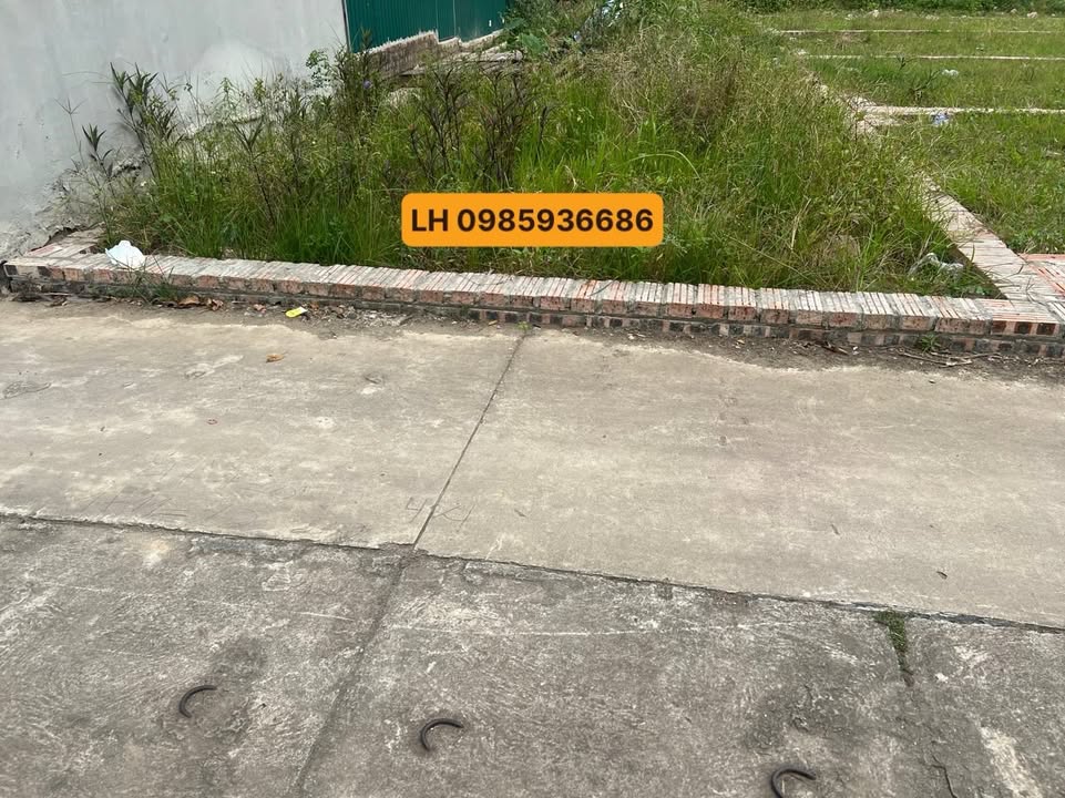 Đất thổ cư 66m² tại Quang Minh, Mê Linh - Giá 3 tỷ, đầu tư sinh lời!