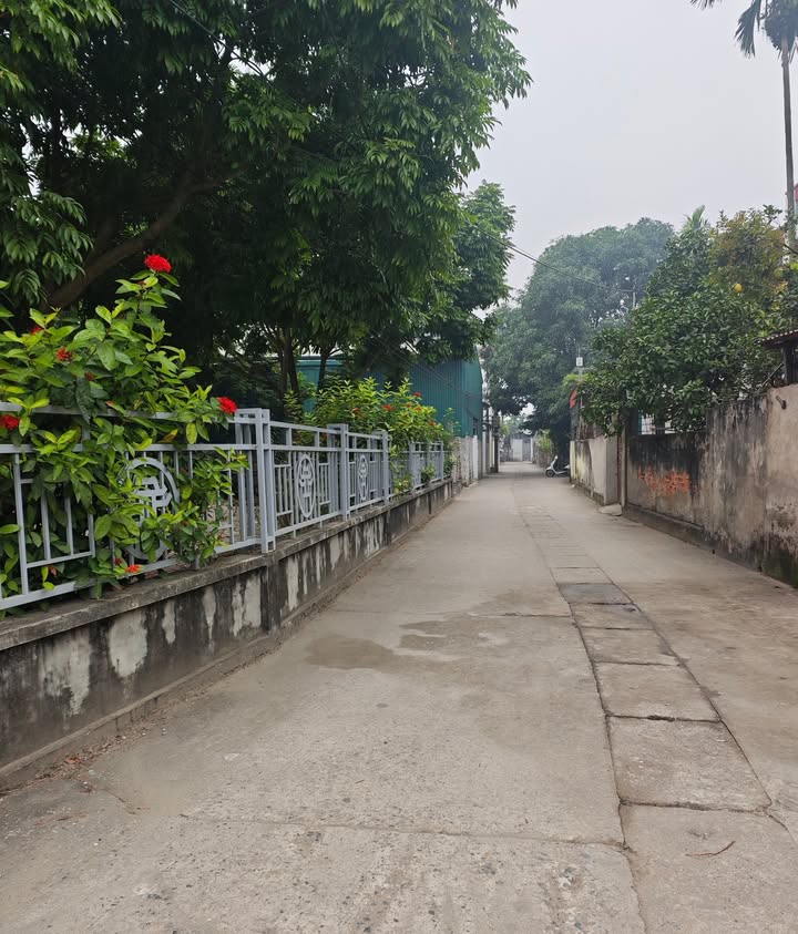 Nhà riêng Duyên Hà Thanh Trì 50m² giá chỉ 2.5 tỷ - Ngõ ô tô vào tận nơi!