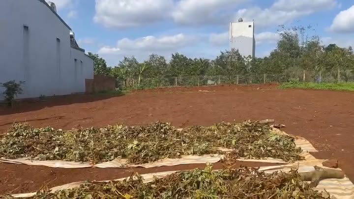 Đất nền liền kề phường Thiện An 210m² giá 1.45 tỷ - Cơ hội đầu tư sinh lời!