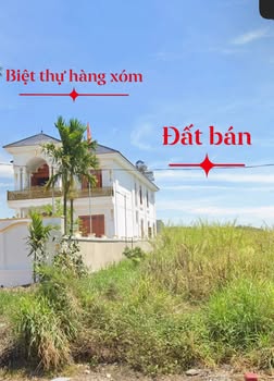Đất thổ cư mặt đường Quốc lộ 29, xã Tam Giang, 1173m² - Giá chỉ 3.68 tỷ!