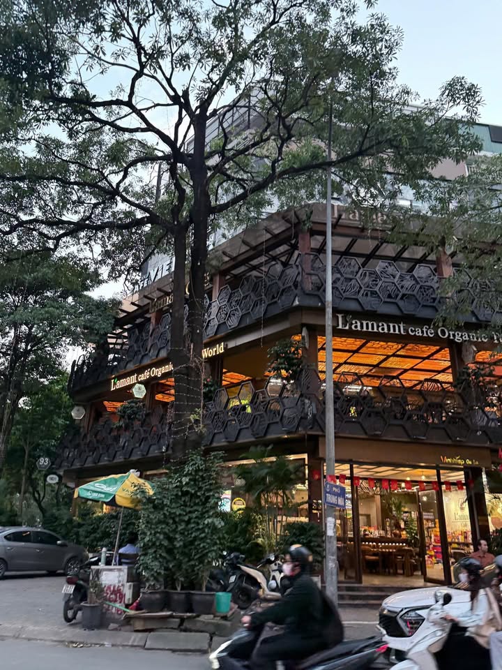 Mặt phố Dịch Vọng Hậu 130m² giá 36 triệu - Đẹp và thu hút khách!