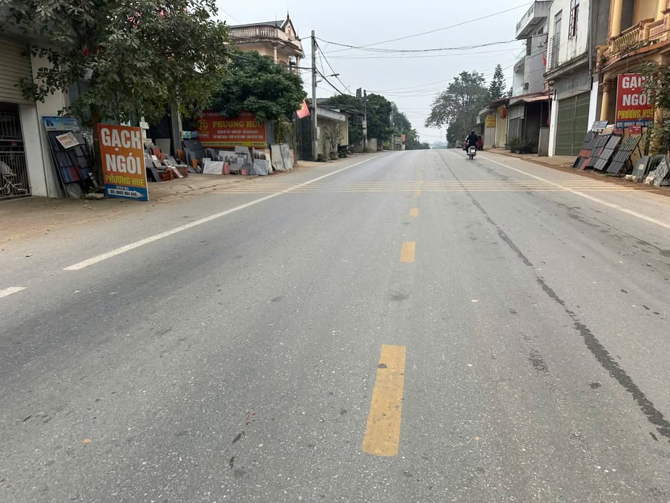 Đất nền kinh doanh mặt tiền TL305, xã Xuân Lôi, 100m² - Đầu tư sinh lời ngay!