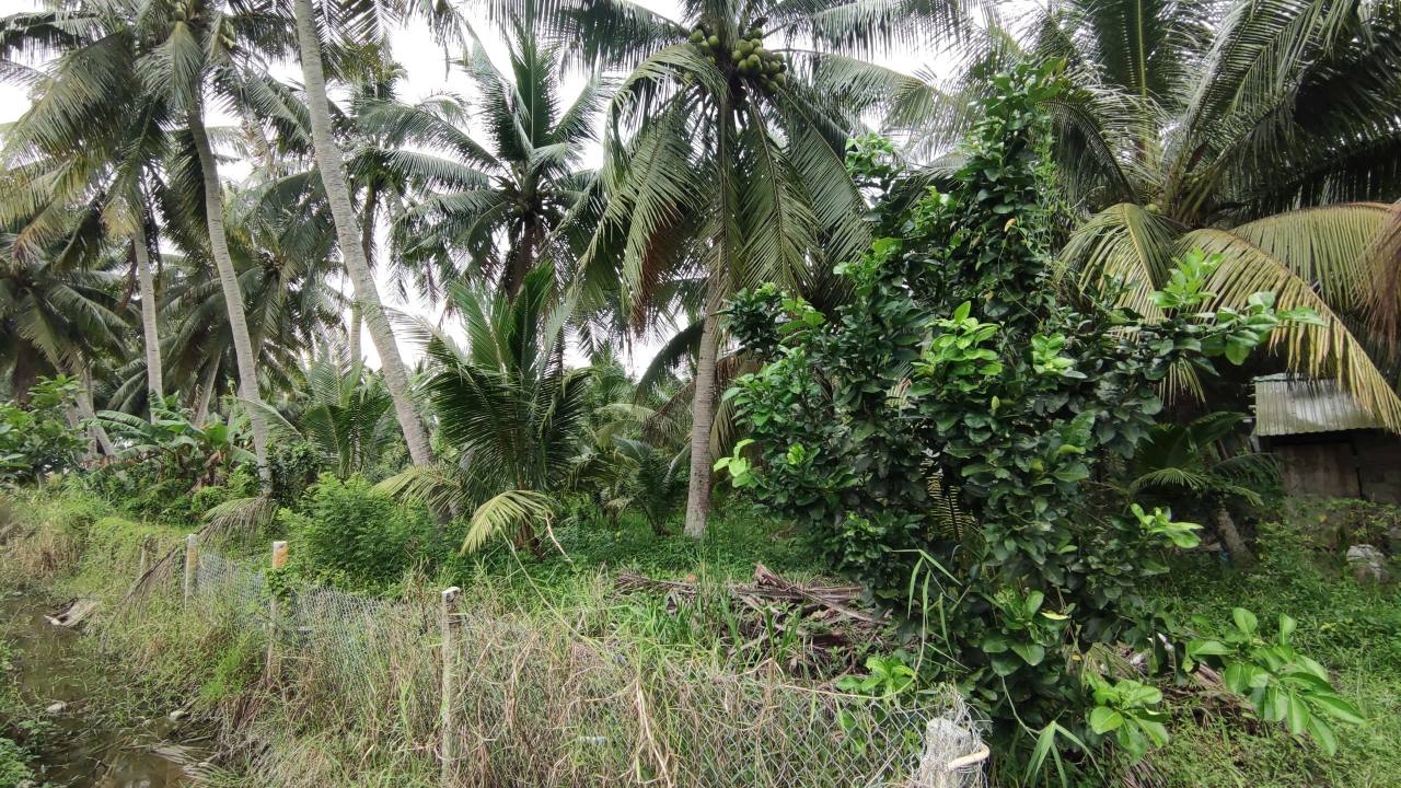 Đất nền Hòa Thạnh, Tam Bình 1422m² giá 775 triệu - Chính chủ, sổ đỏ ngay!