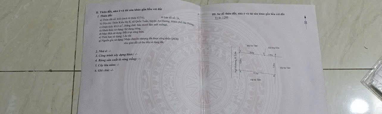 Đất nền Kiều Hạ, Kiến An 65m² giá 695 triệu - Cơ hội đầu tư hiếm có!