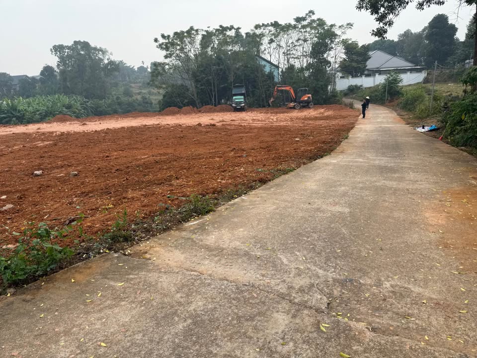 Đất nền chính chủ khu phố 7, Thanh Đình, 113m² chỉ 900 triệu - Giao thông thuận lợi!