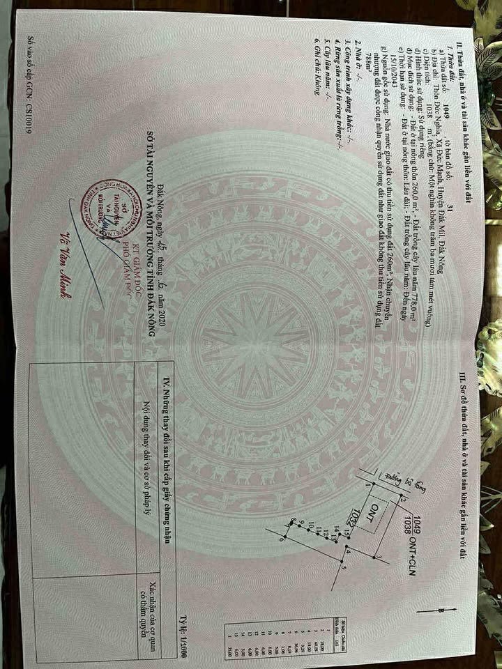 Đất thổ cư Đắk Lao 720m² giá 792 triệu - Nở hậu, đường lớn, chính chủ!