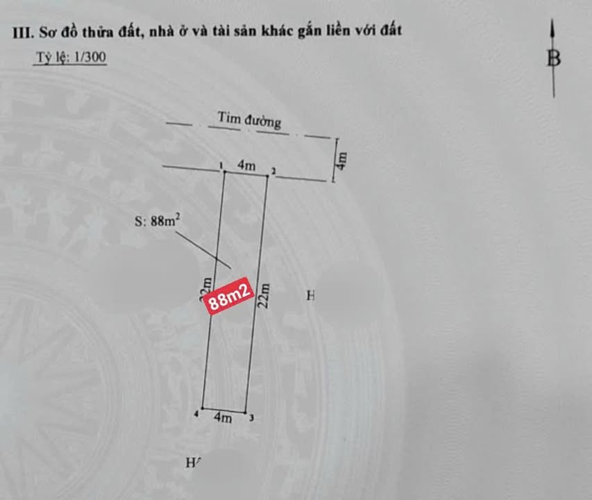 Nhà 2 tầng mặt đường Tràng Cát, Hải An, Hải Phòng 88m² giá 4.65 tỷ - Sổ đỏ chính chủ!