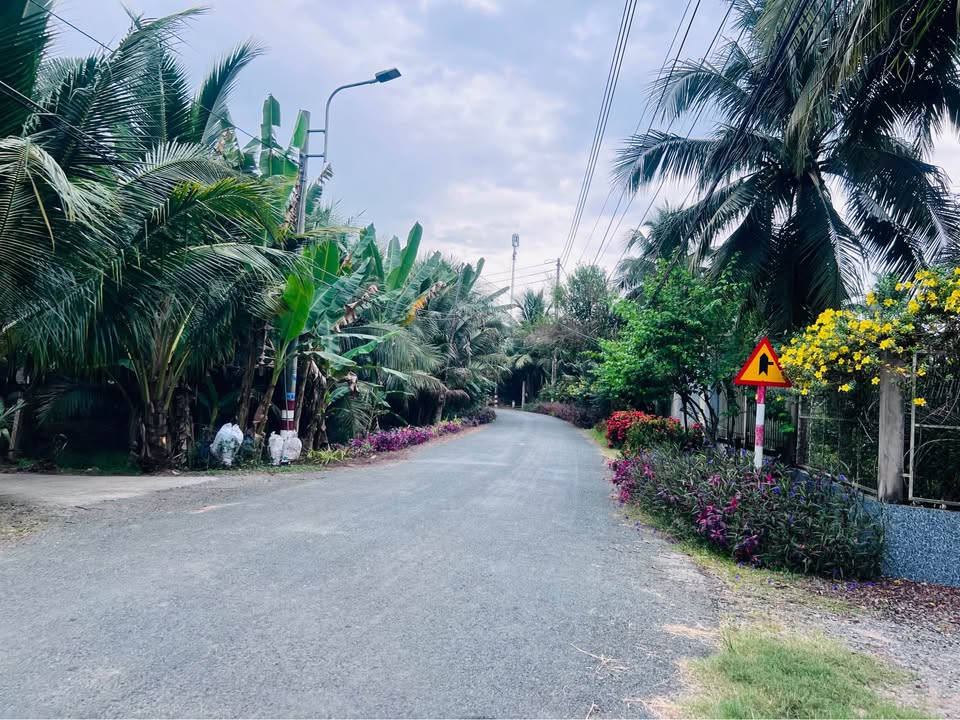 Đất Vườn 1500m² tại Phước Thạnh, Bến Tre - Đầu tư sinh lời ngay!