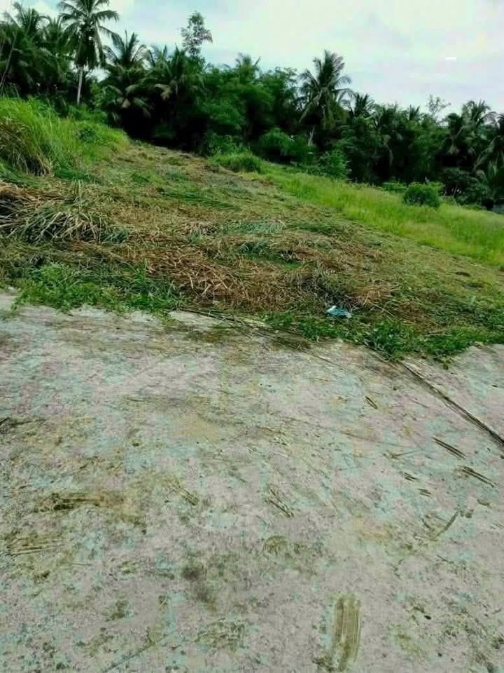 Đất nền Phú An Hòa Châu Thành 337m² giá 800 triệu - Khu dân cư hiện hữu