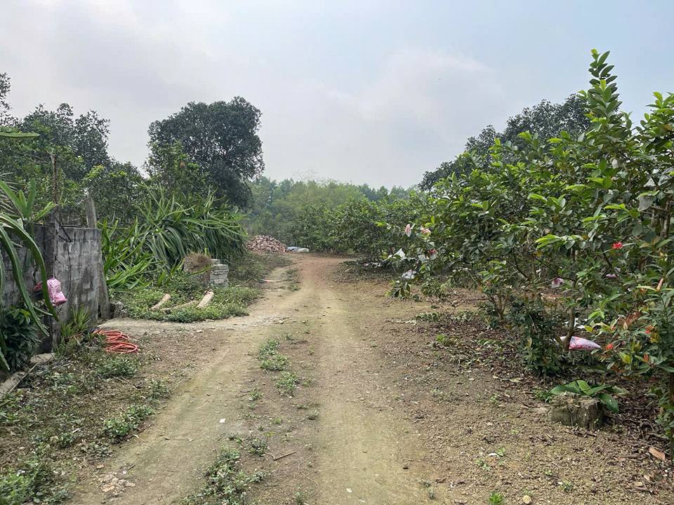 Đất nghỉ dưỡng Hòa Sơn, Lương Sơn 4000m² giá chỉ 12 tỷ - Thiên đường thư giãn lý tưởng!