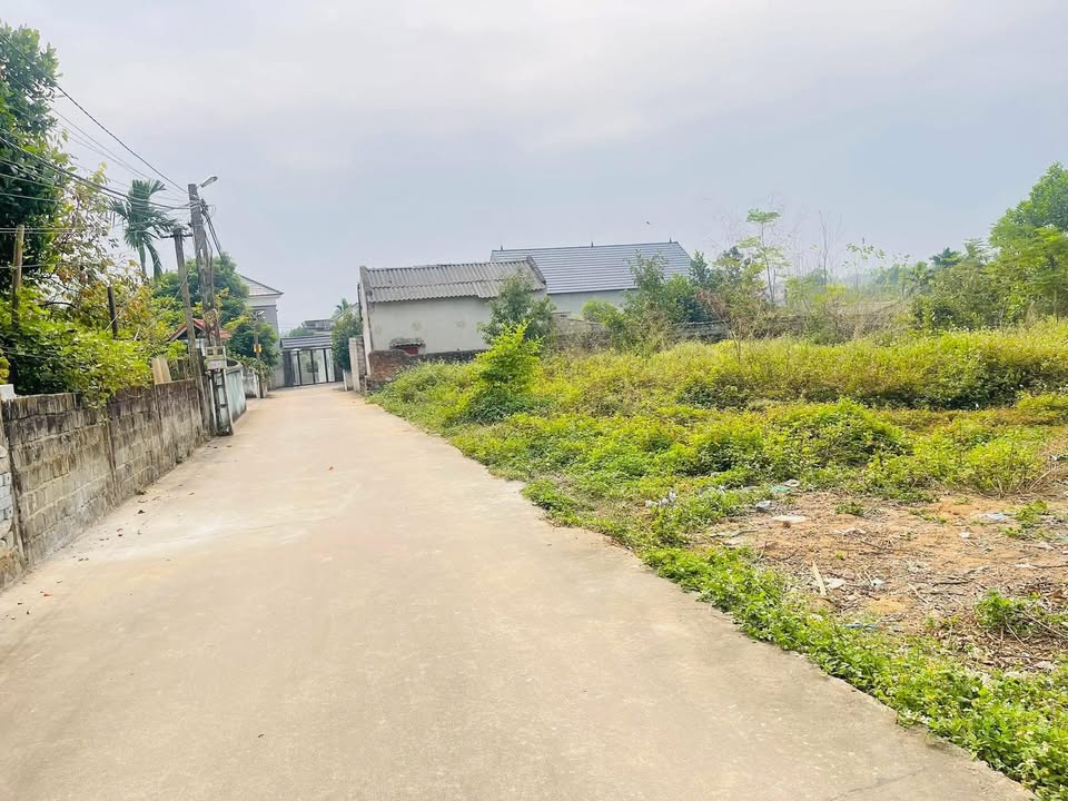 Đất nền Lan Mẫu Lục Nam 200m² giá 900 triệu - Tiềm năng tăng giá lớn!