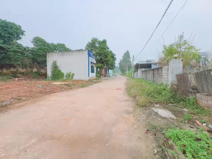 Đất thổ cư Lầm Lỗ Tiên Kiên 122m² giá 1 tỷ - Vị trí đắc địa gần Công Ty Tâm Phúc Nhi!